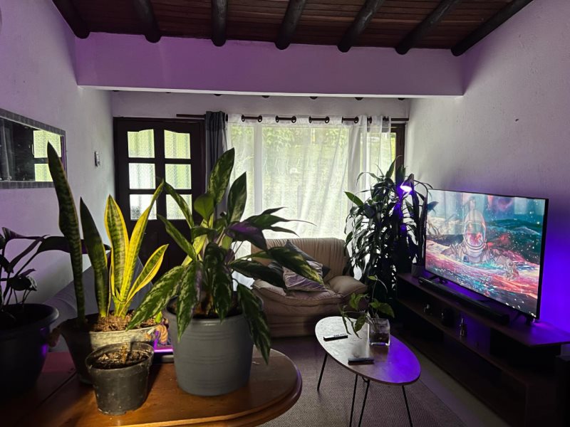 Amoblados en Arriendo en Poblado